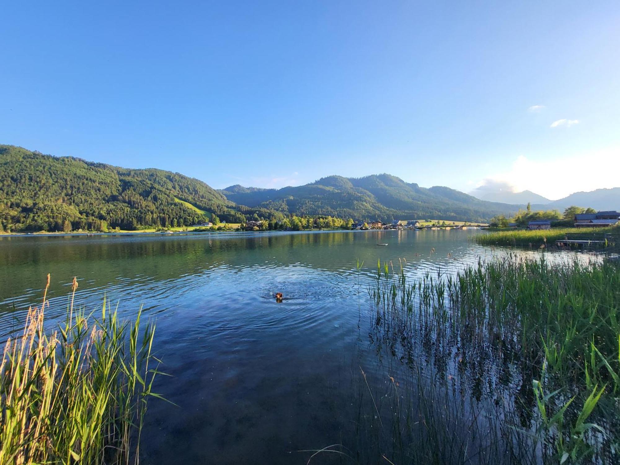 Haus Lackner Am Weissensee In Kaernten Exterior photo